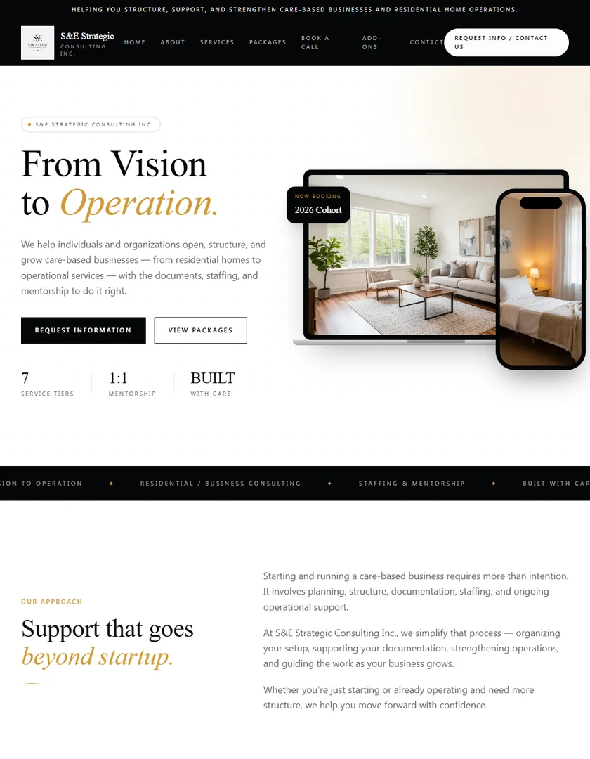 S&E Strategic Partners preview